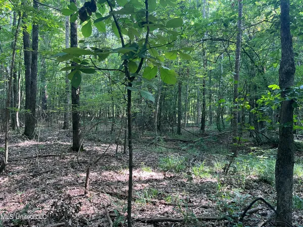 $1,590,000 | 297 Barnes Road, Florence, MS 39073