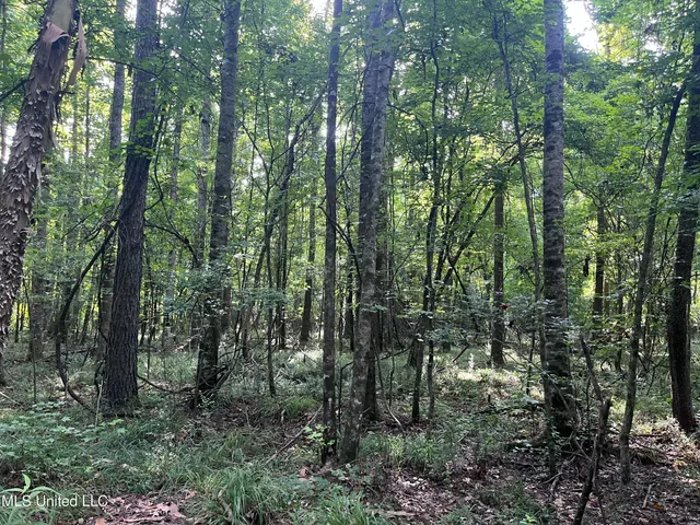 $1,590,000 | 297 Barnes Road, Florence, MS 39073