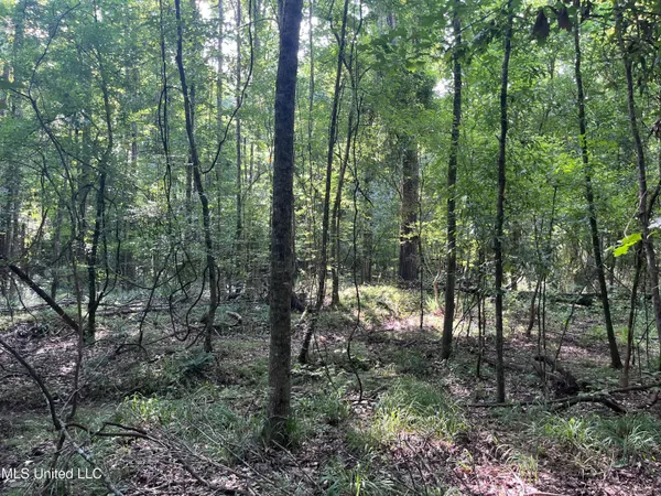 $1,590,000 | 297 Barnes Road, Florence, MS 39073