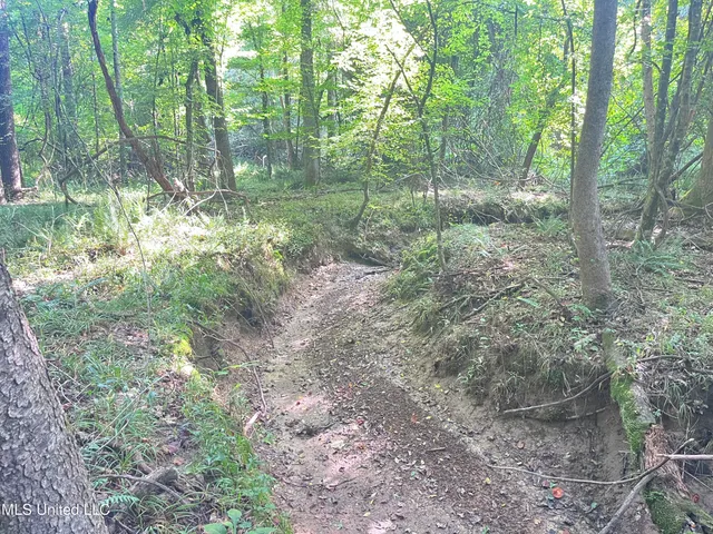 $1,590,000 | 297 Barnes Road, Florence, MS 39073