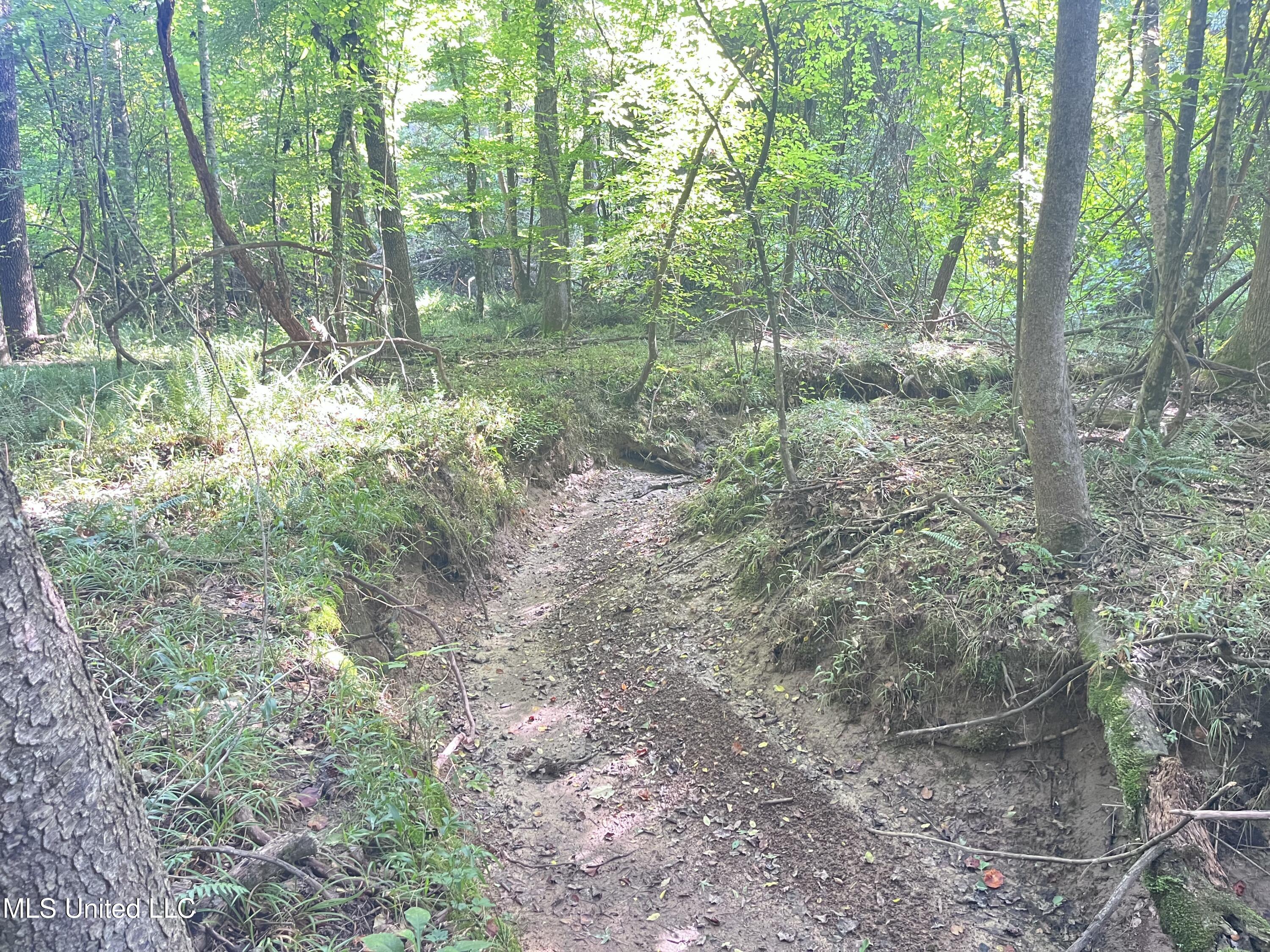 297 Barnes Road Florence, MS 39073 - Photo 158 of 169 IMG_8470