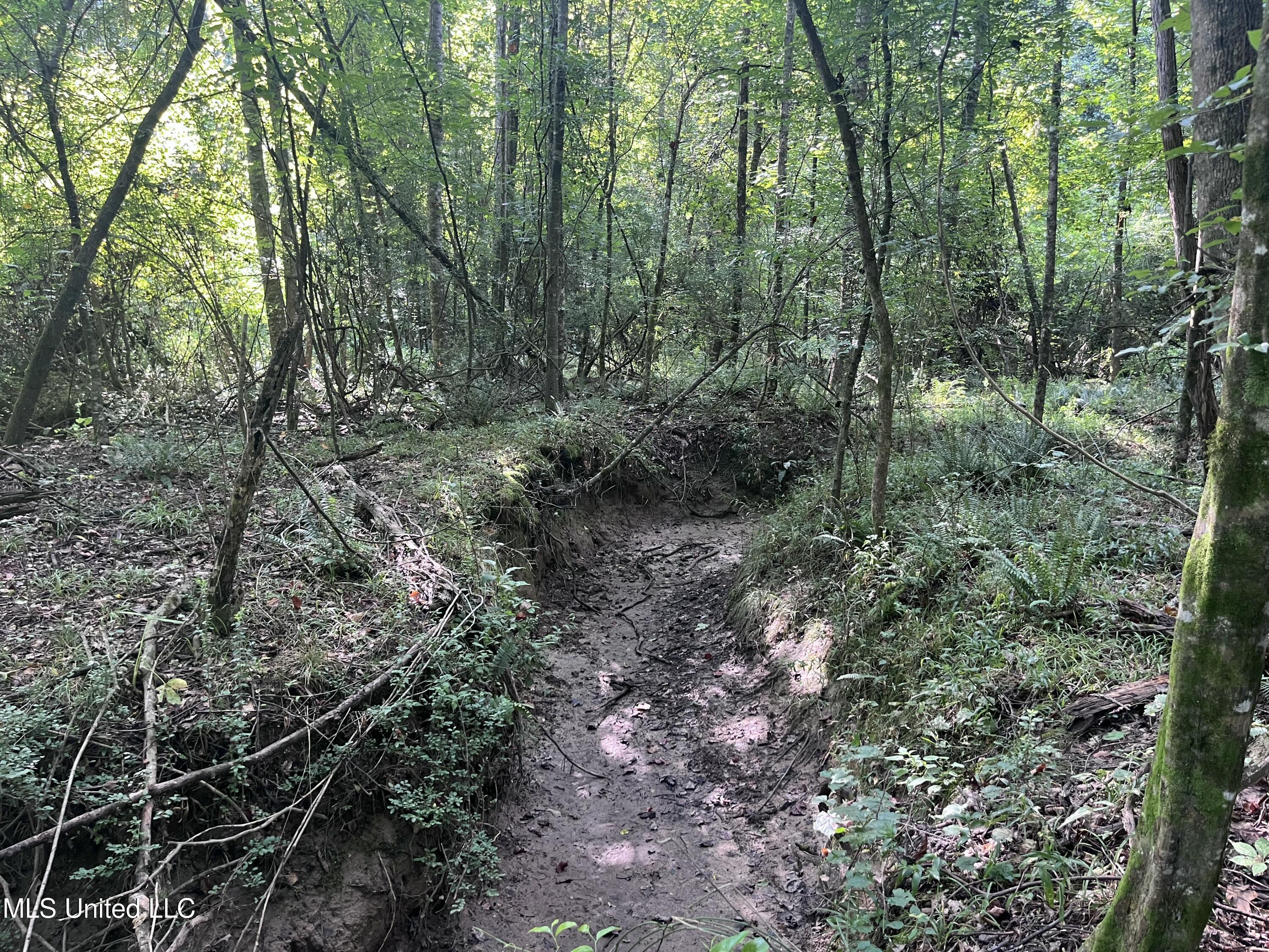 297 Barnes Road Florence, MS 39073 - Photo 159 of 169 IMG_8471