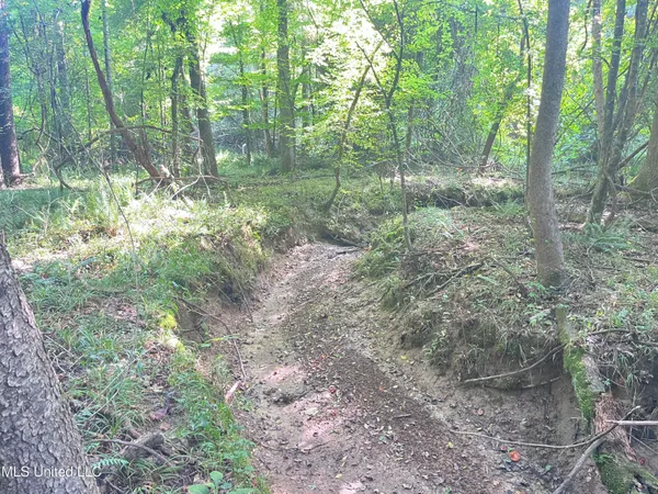 $1,590,000 | 297 Barnes Road, Florence, MS 39073