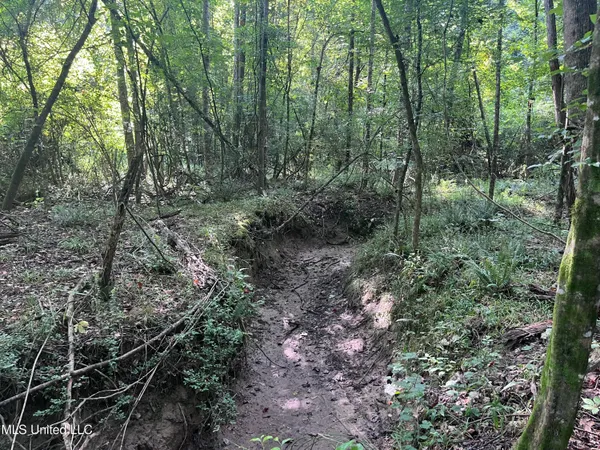 $1,590,000 | 297 Barnes Road, Florence, MS 39073