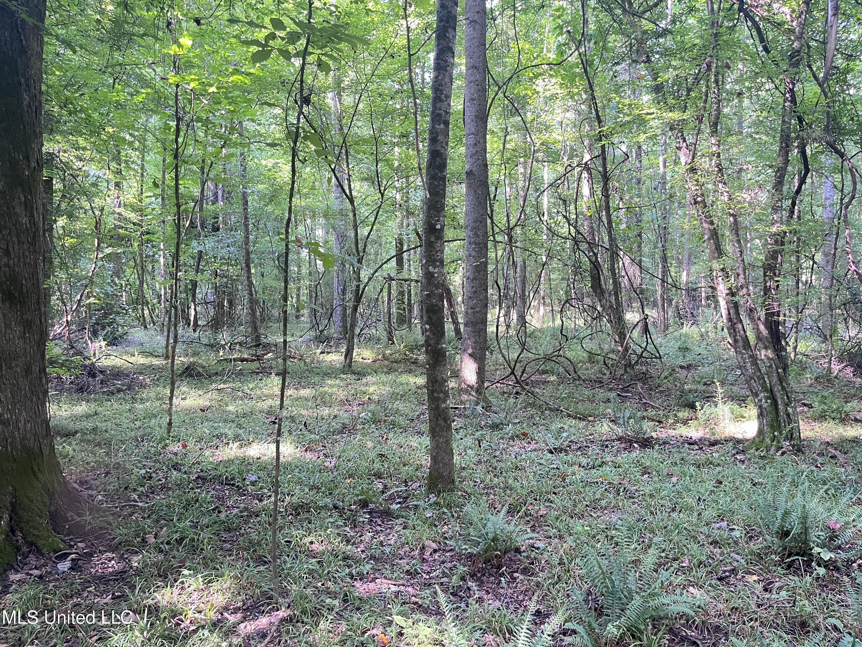 297 Barnes Road Florence, MS 39073 - Photo 160 of 169 IMG_8472