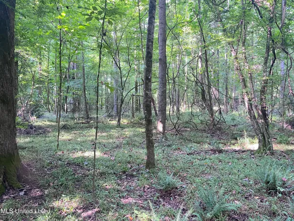 $1,590,000 | 297 Barnes Road, Florence, MS 39073