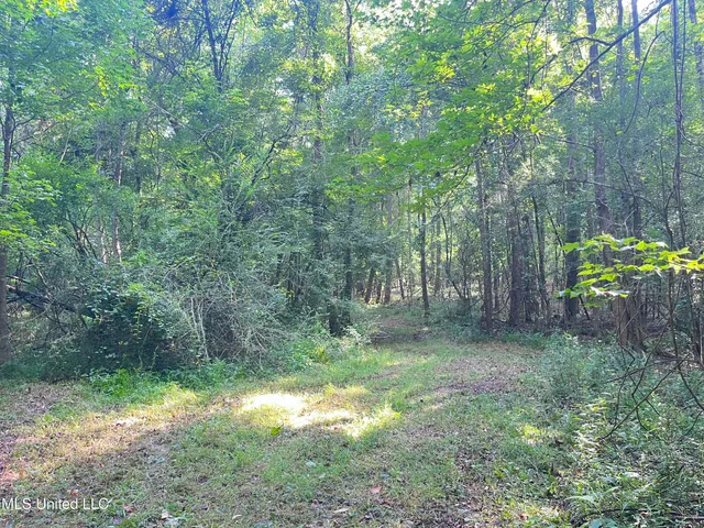 $1,590,000 | 297 Barnes Road, Florence, MS 39073