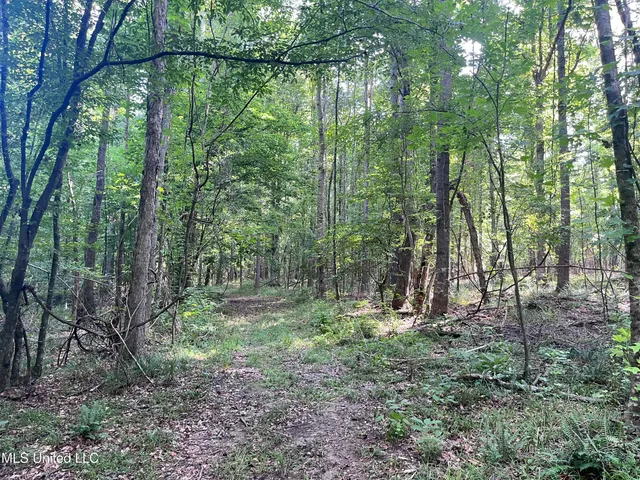 $1,590,000 | 297 Barnes Road, Florence, MS 39073