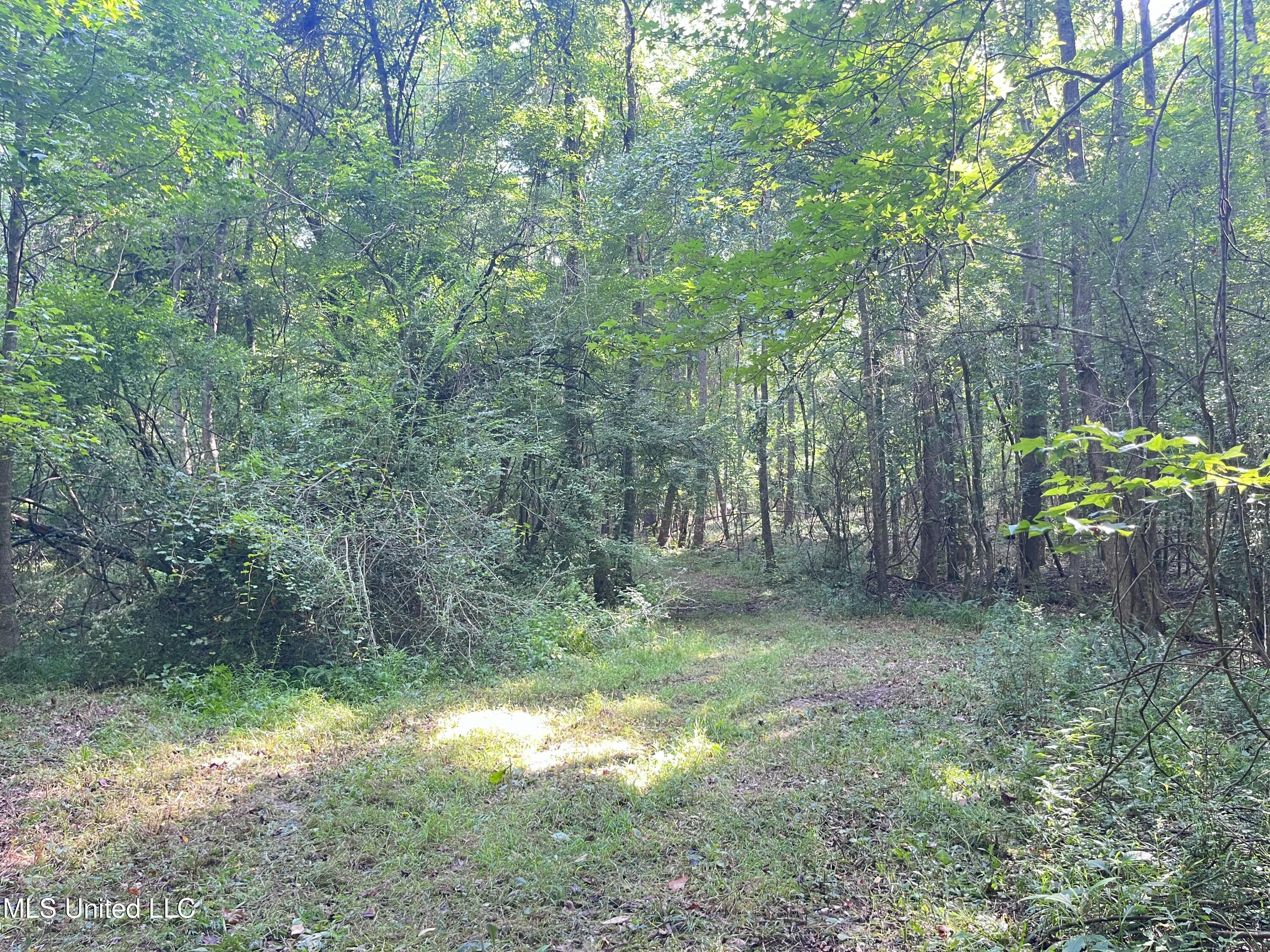 297 Barnes Road Florence, MS 39073 - Photo 162 of 170 IMG_8473