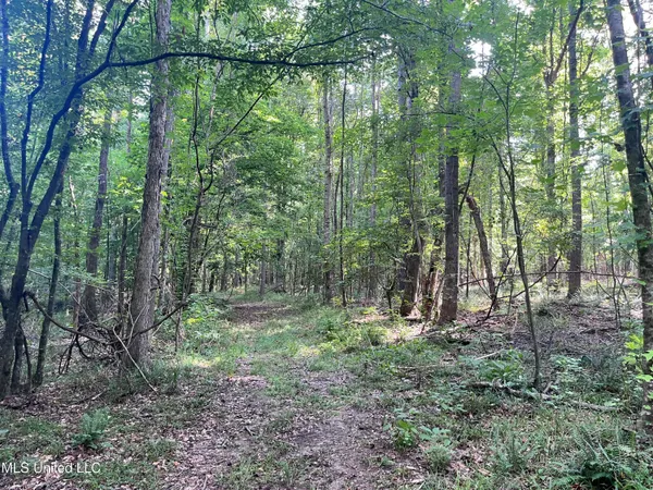 $1,590,000 | 297 Barnes Road, Florence, MS 39073