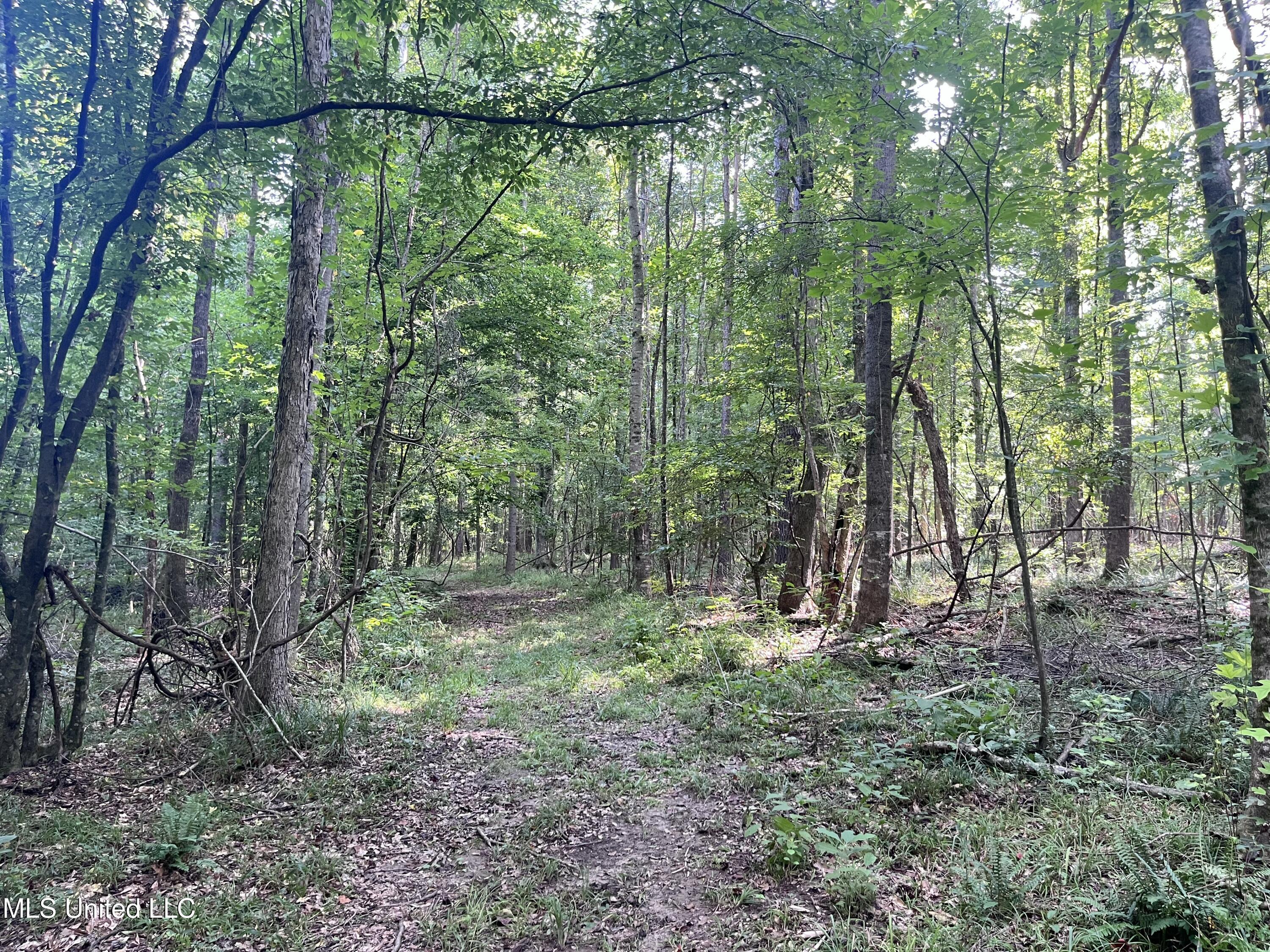 297 Barnes Road Florence, MS 39073 - Photo 163 of 170 IMG_8474