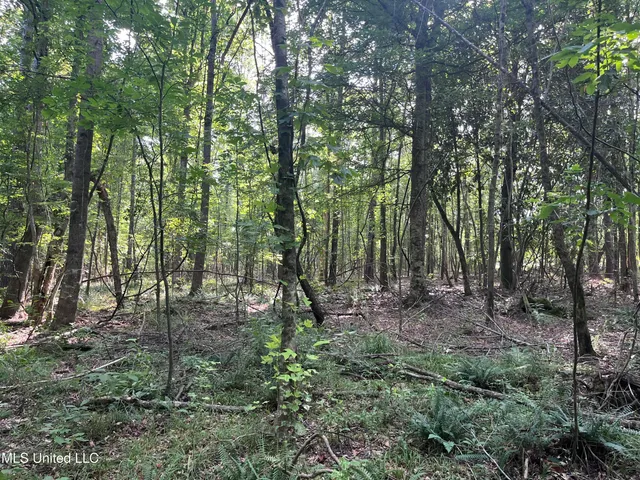 $1,590,000 | 297 Barnes Road, Florence, MS 39073