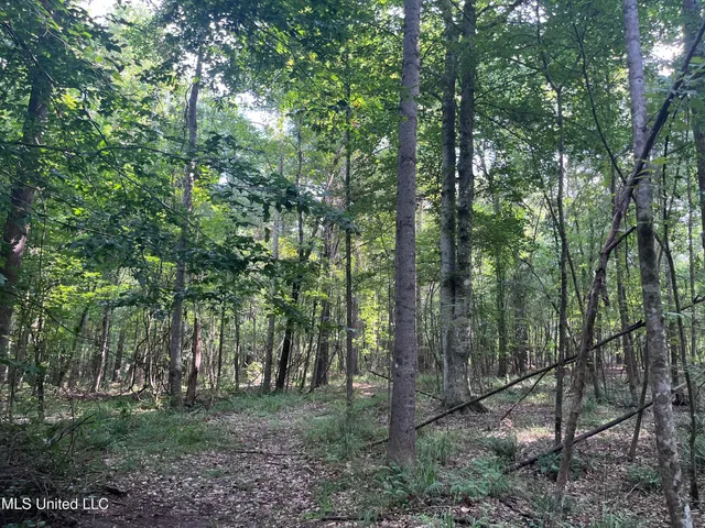 $1,590,000 | 297 Barnes Road, Florence, MS 39073