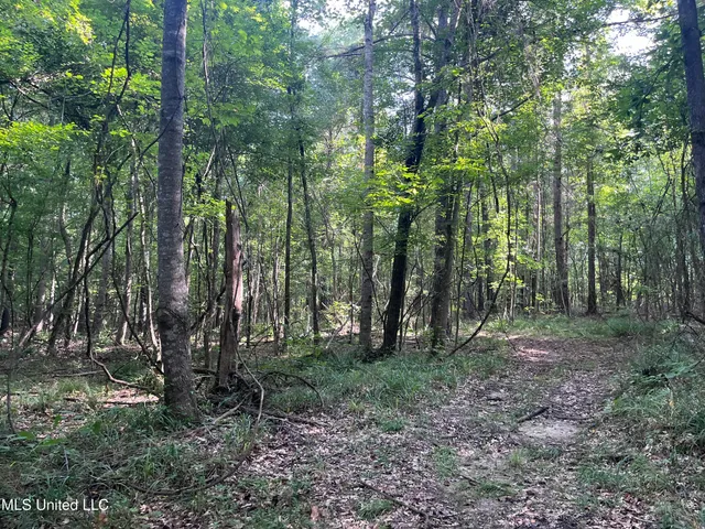 $1,590,000 | 297 Barnes Road, Florence, MS 39073