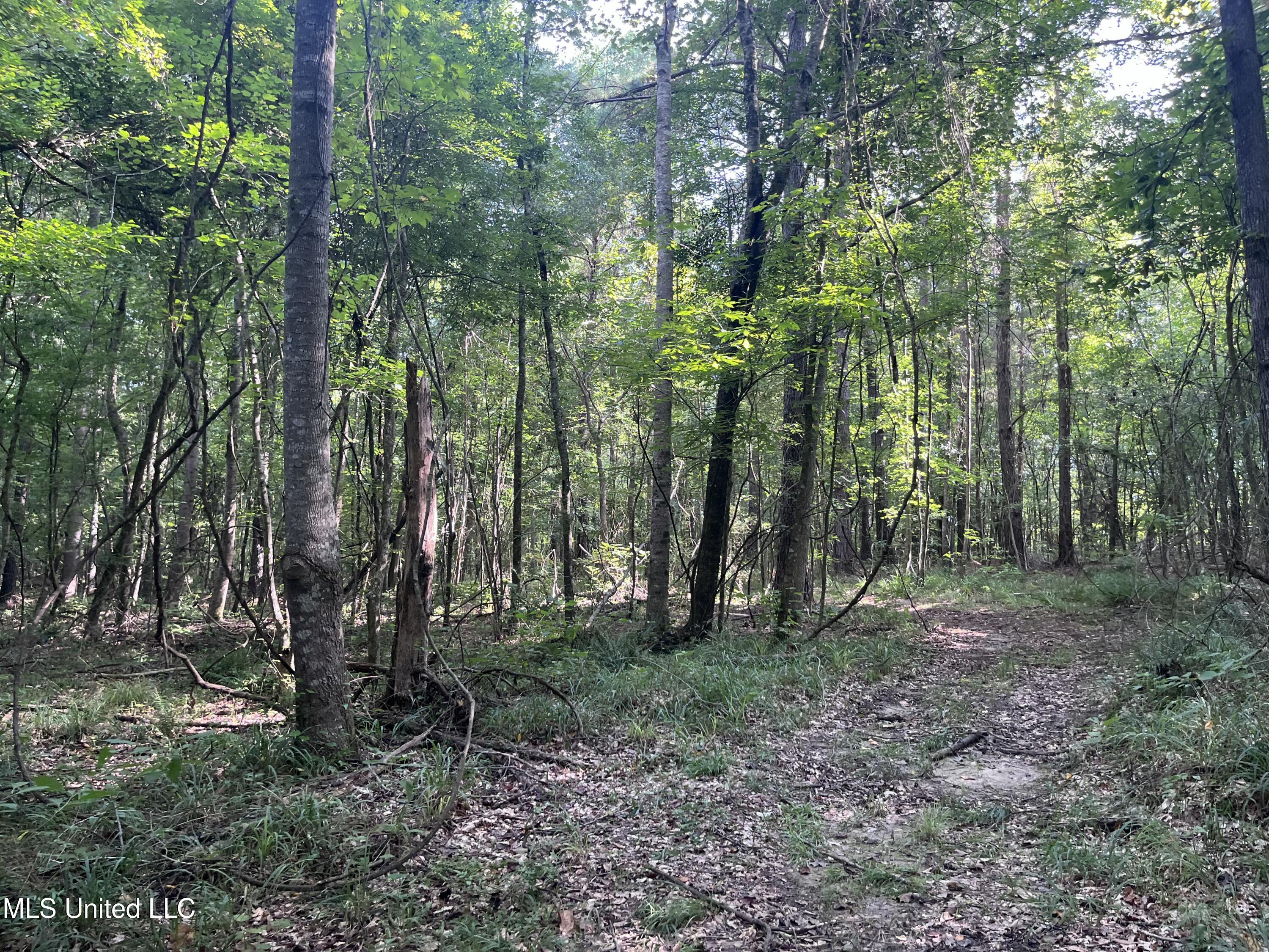 297 Barnes Road Florence, MS 39073 - Photo 165 of 169 IMG_8477