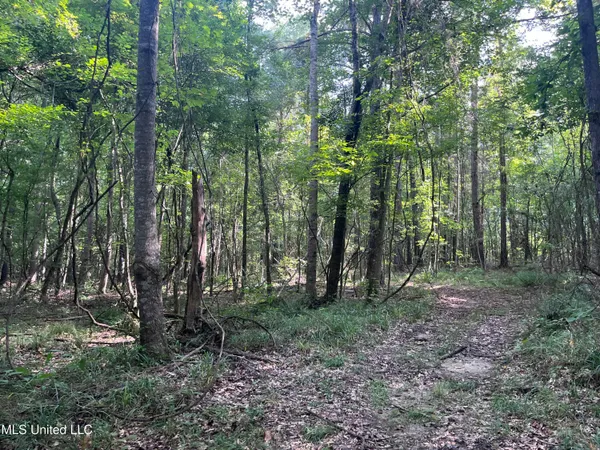 $1,590,000 | 297 Barnes Road, Florence, MS 39073