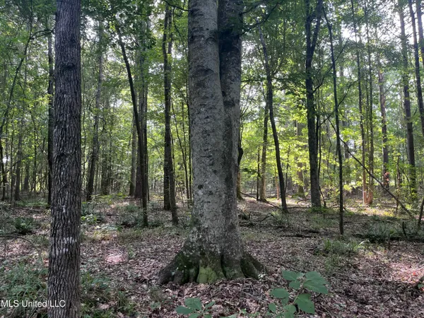 $1,590,000 | 297 Barnes Road, Florence, MS 39073