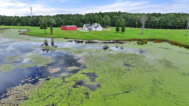 $1,590,000 | 297 Barnes Road, Florence, MS 39073