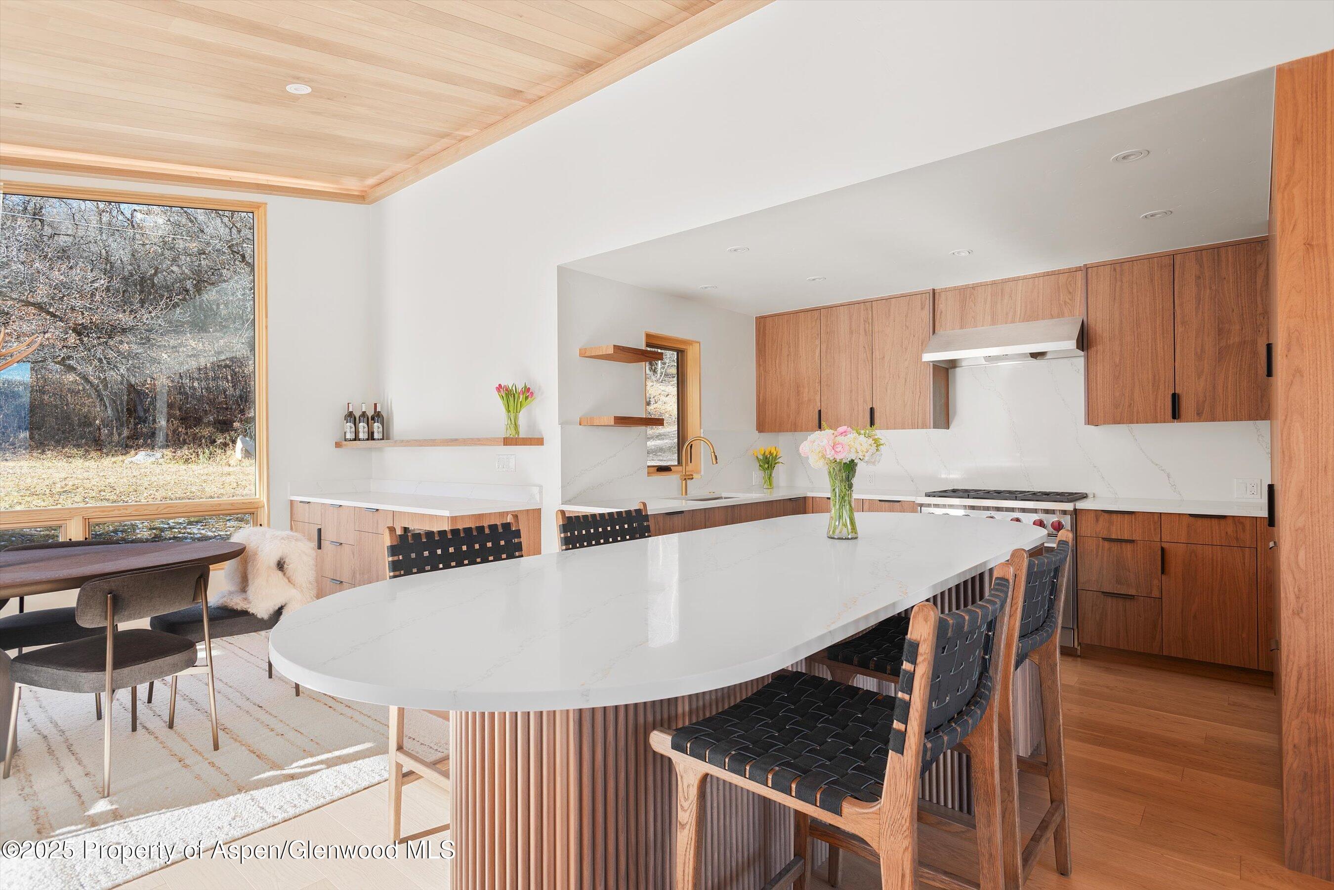 120 Turtle Cove Aspen, CO 81611 - Photo 5 of 17 Kitchen