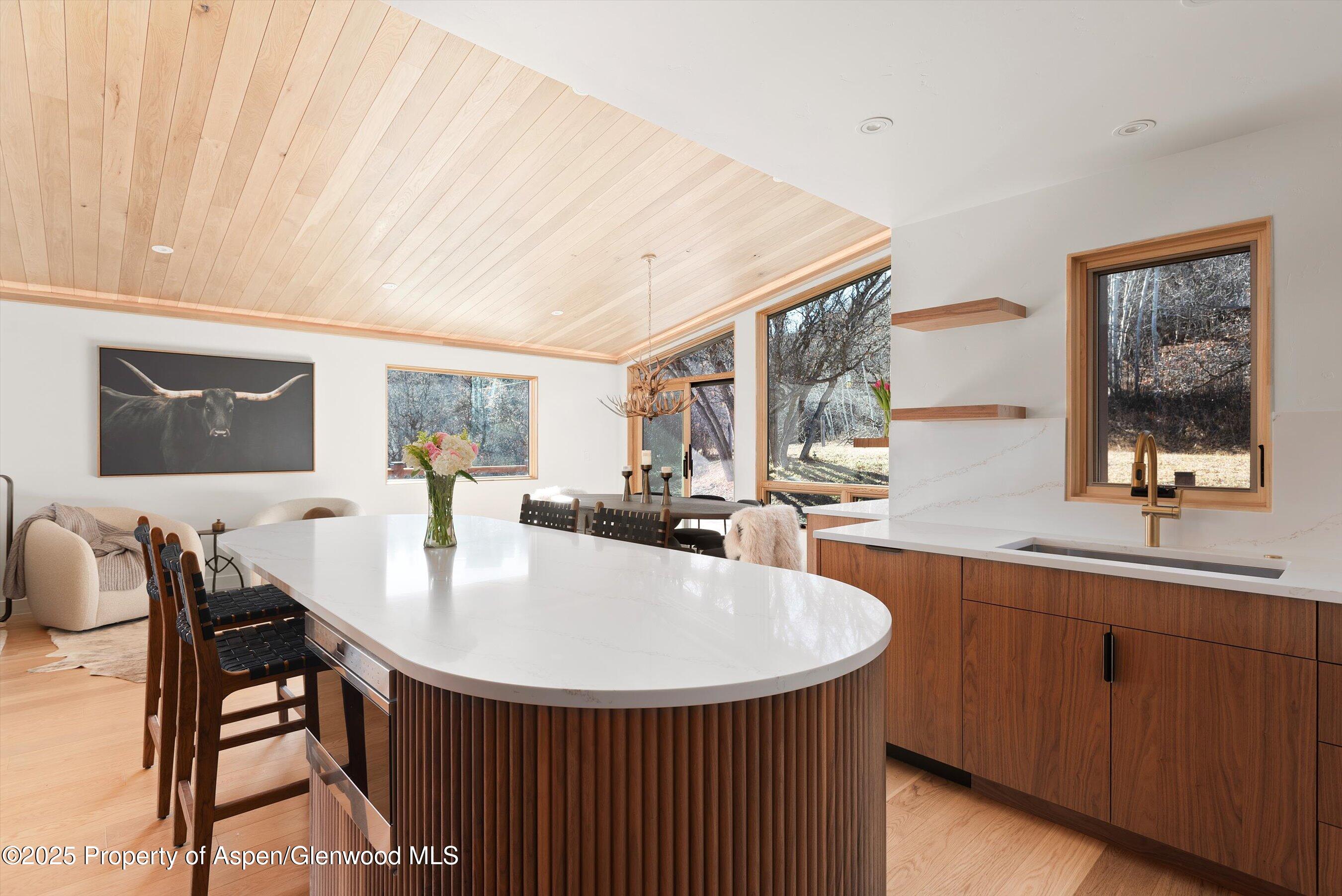 120 Turtle Cove Aspen, CO 81611 - Photo 6 of 17 Kitchen