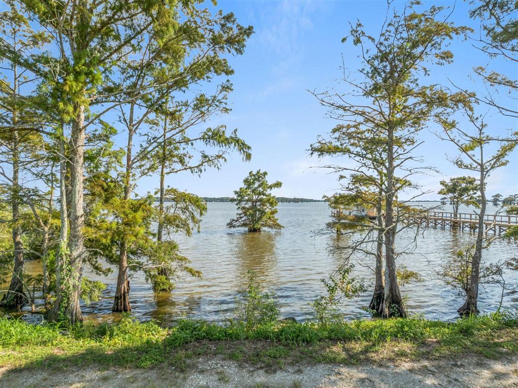 0 Dupont (tract 3c) Rd Lake Lake Arthur, LA 70549 - Photo 5 of 11