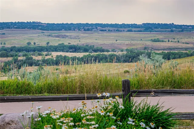 a view of a lake in middle of the forest