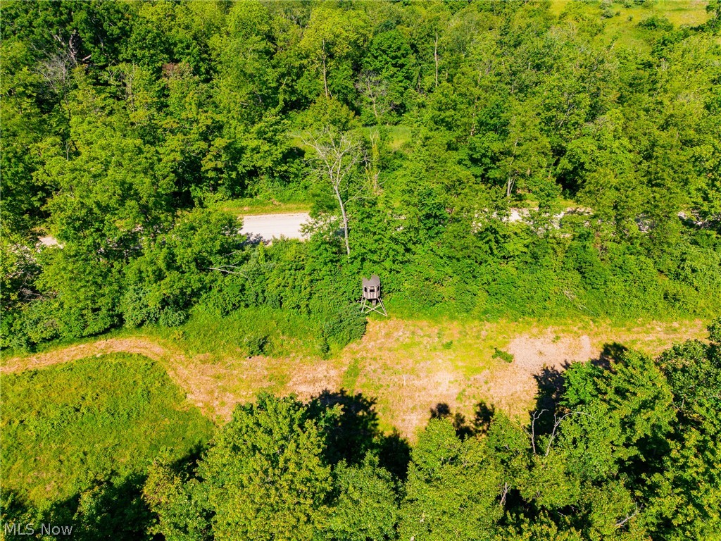 84143 Gilmore Ridge Road Cadiz, OH 43907 - Photo 26 of 32