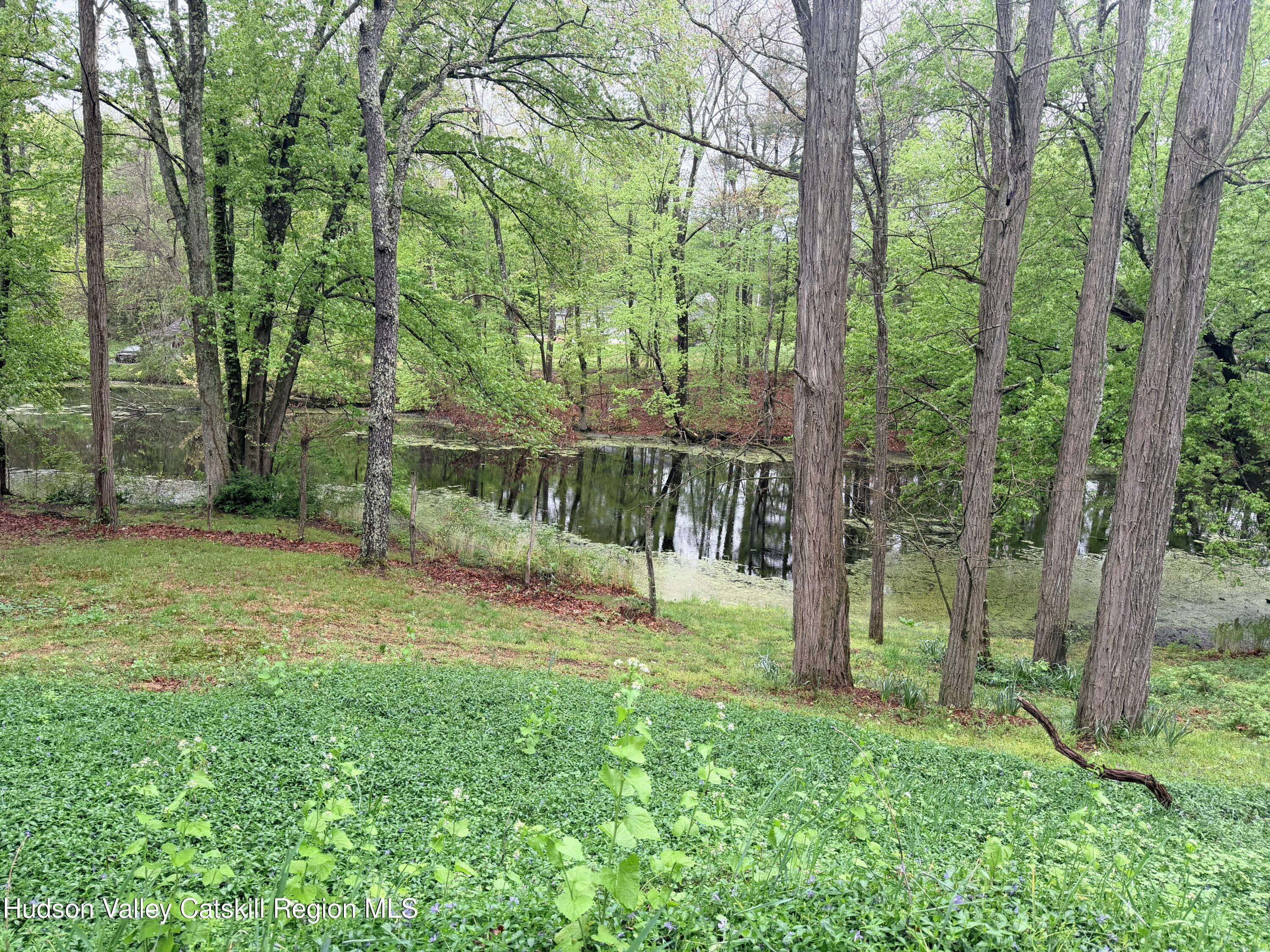 707 Springtown Road Tillson, NY 12486 - Photo 17 of 46 a view of a park with a tree