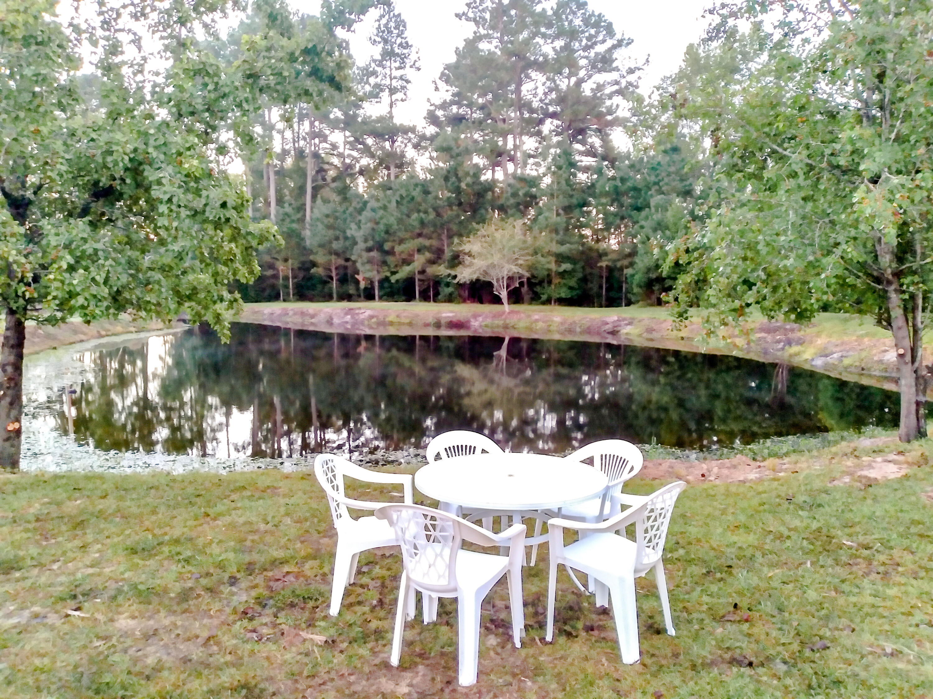 4836 Berea Road Smoaks, SC 29481 - Photo 49 of 51 20211011_072517