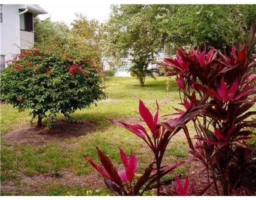 a view of a yard in front of the house