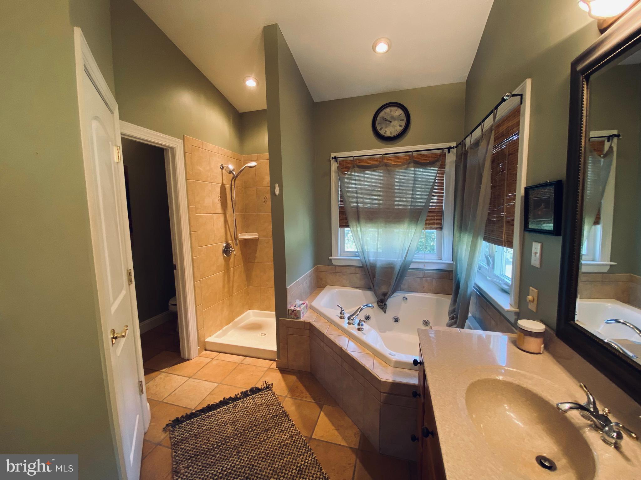 180 Clemencia Road Earleville, MD 21919 - Photo 15 of 56 Master Bathroom w Soaking Tub