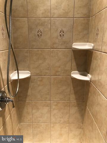 180 Clemencia Road Earleville, MD 21919 - Photo 16 of 56 Master Shower