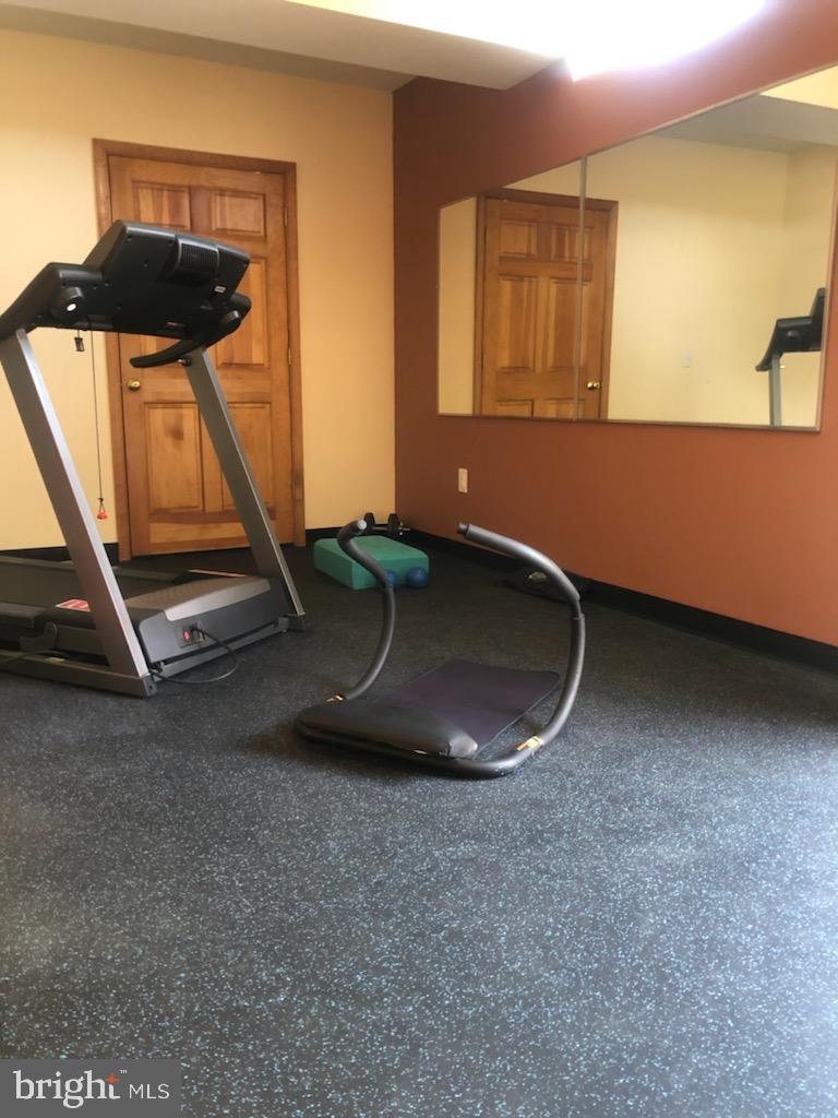 180 Clemencia Road Earleville, MD 21919 - Photo 28 of 56 Exercise Area