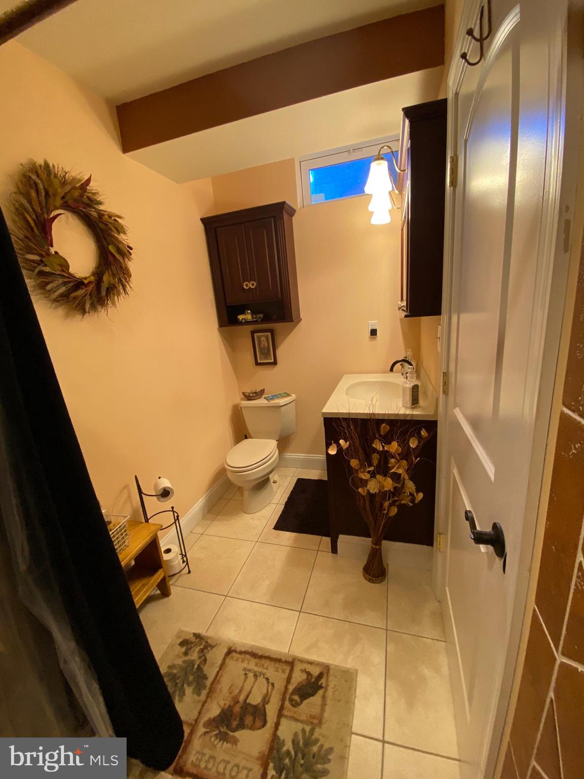 180 Clemencia Road Earleville, MD 21919 - Photo 29 of 56 Lower Level Full Bath