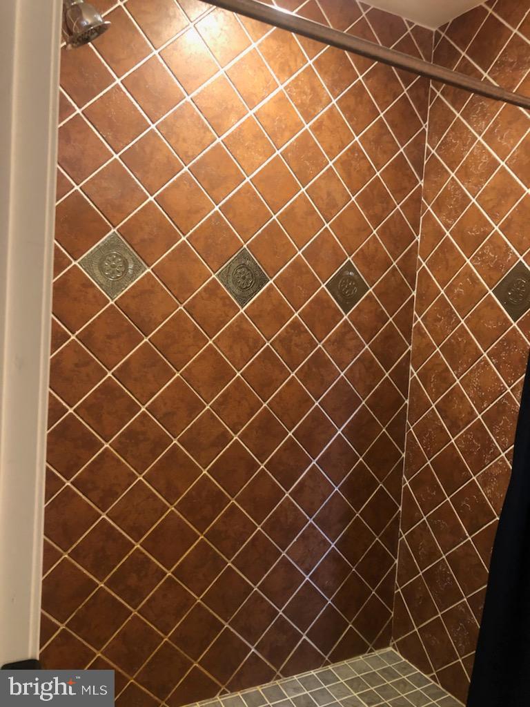 180 Clemencia Road Earleville, MD 21919 - Photo 30 of 56 Shower on Lower Level