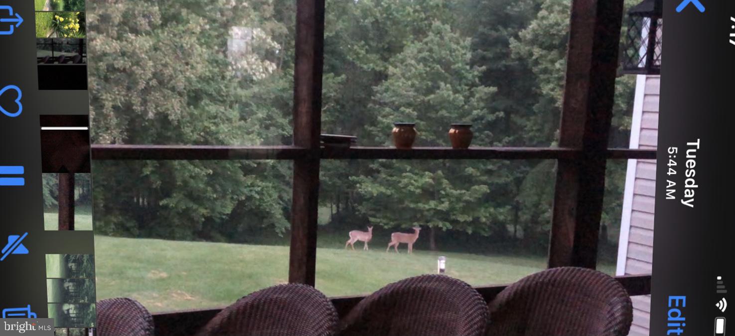 180 Clemencia Road Earleville, MD 21919 - Photo 34 of 56 view from Screen Porch
