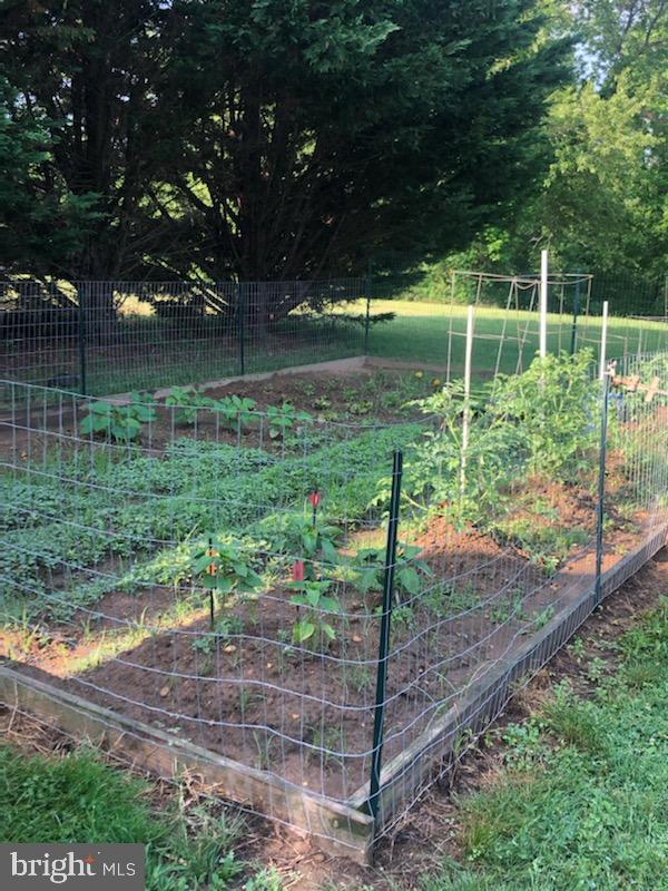 180 Clemencia Road Earleville, MD 21919 - Photo 42 of 56 Room for gardening