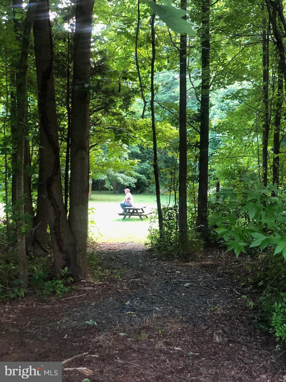 180 Clemencia Road Earleville, MD 21919 - Photo 43 of 56 Path thru trees to rear Meadow