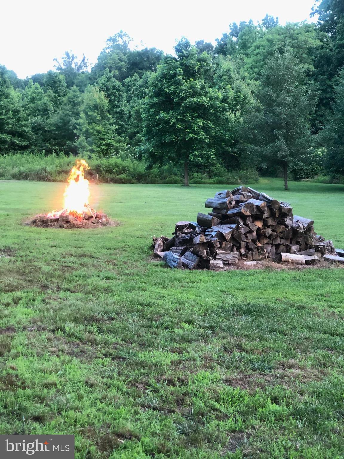 180 Clemencia Road Earleville, MD 21919 - Photo 44 of 56 Meadow to enjoy fire pit and Picnic
