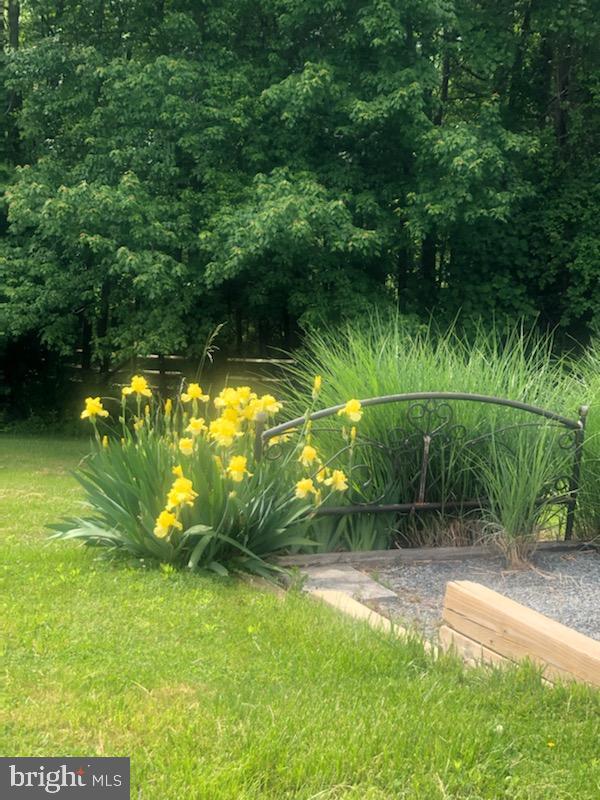 180 Clemencia Road Earleville, MD 21919 - Photo 51 of 56 Loads of plantings