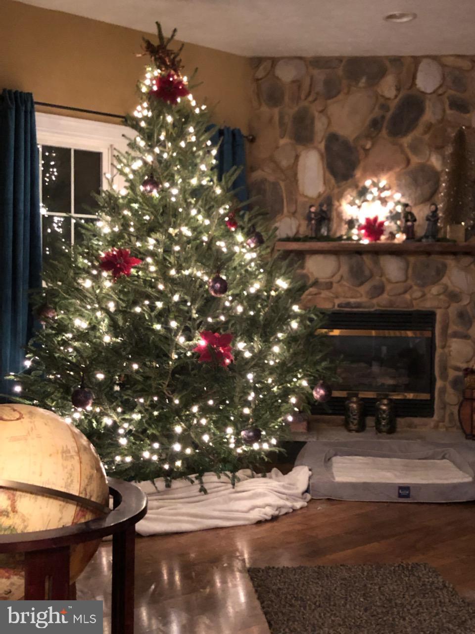 180 Clemencia Road Earleville, MD 21919 - Photo 8 of 56 Christmas in July!