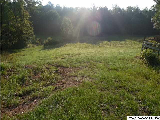 696 Kiniard Road Brent, AL 35034 - Photo 8 of 32