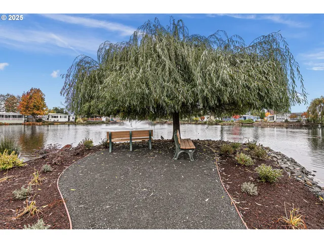 a view of a lake with a mountain
