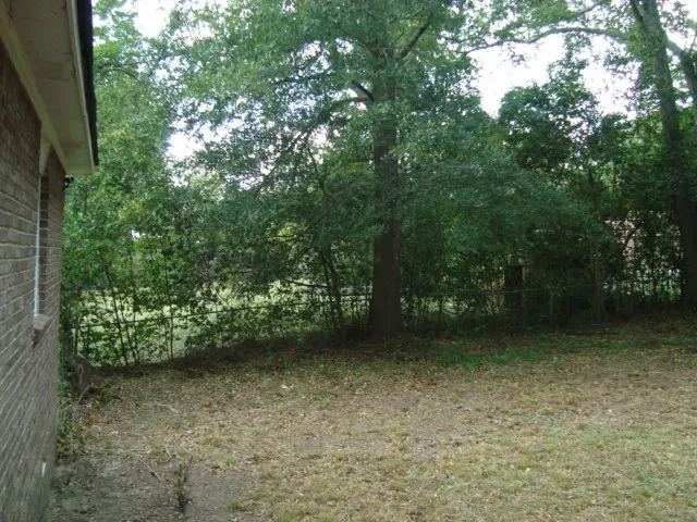 a view of backyard with green space