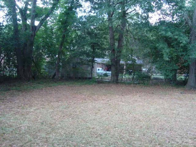 a view of a backyard with large trees