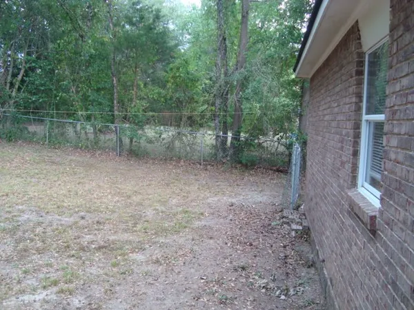 a view of a forest with trees in the background