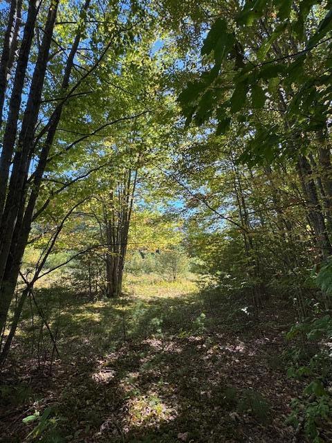Lot 1 Oak Hill Road Smithfield, ME 04978 - Photo 11 of 23 IMG_6233