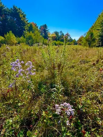 $95,000 | Lot 1 Oak Hill Road, Smithfield, ME 04978