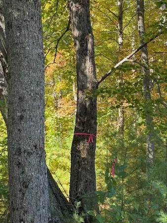 $95,000 | Lot 1 Oak Hill Road, Smithfield, ME 04978