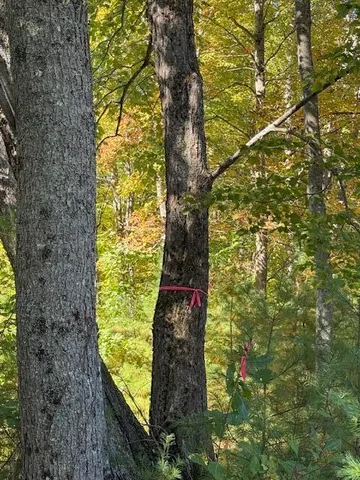 $95,000 | Lot 1 Oak Hill Road, Smithfield, ME 04978